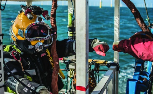 Diver in cage fist pumping with colleague before submersion