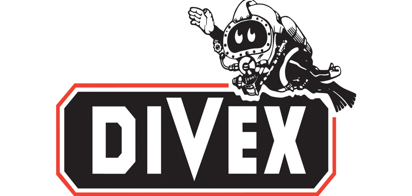 Divex Logo 